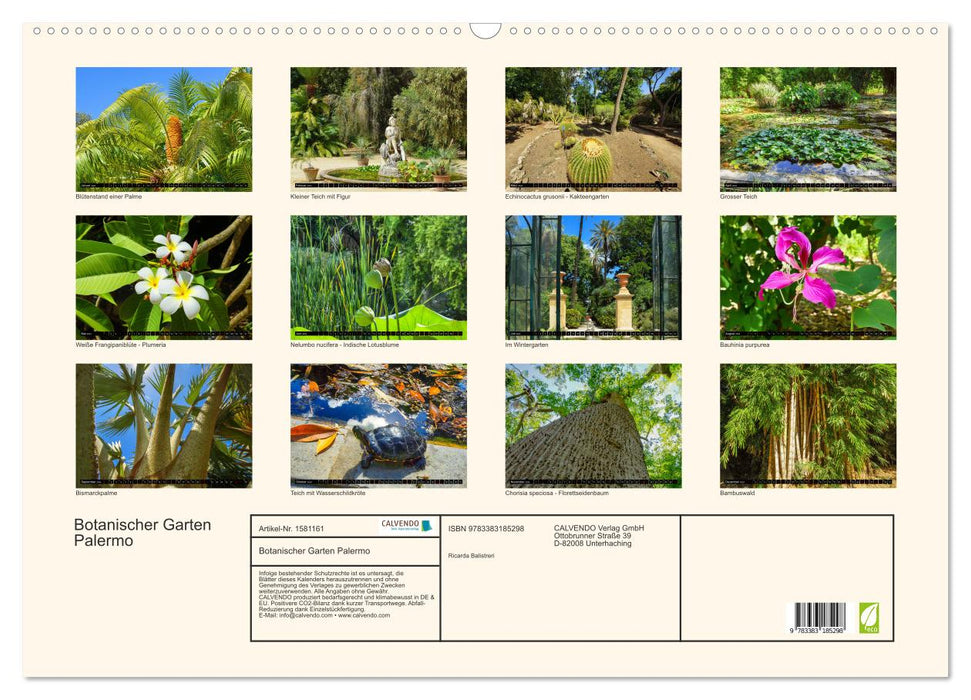 Botanischer Garten Palermo (CALVENDO Wandkalender 2024)