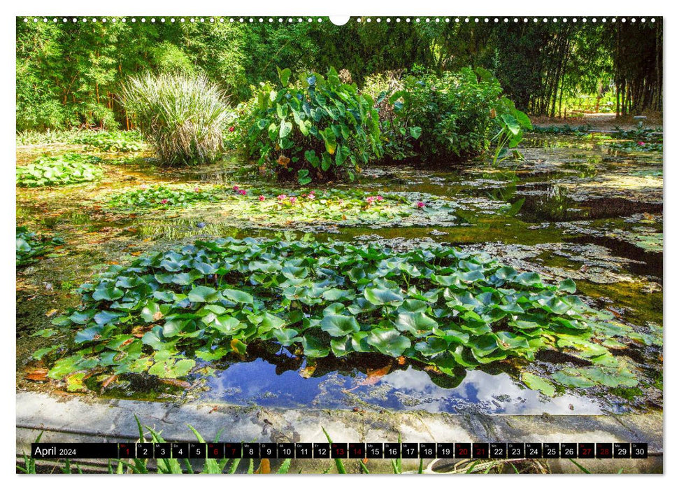Botanischer Garten Palermo (CALVENDO Wandkalender 2024)
