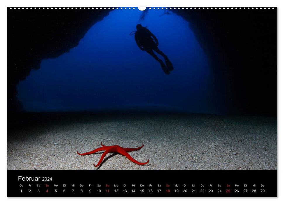 Pictures of the Depth 2024 (CALVENDO Wall Calendar 2024) 