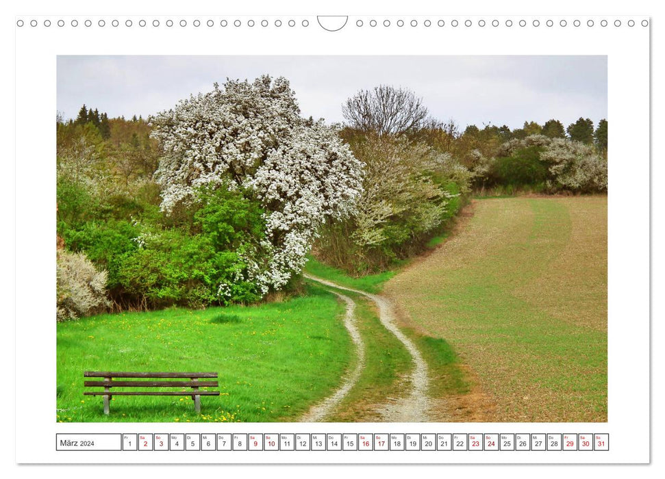 La Hesse du Nord est photogénique (calendrier mural CALVENDO 2024) 