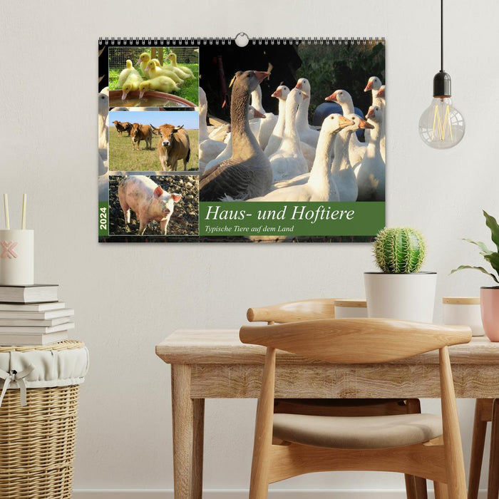 Domestic and farm animals (CALVENDO wall calendar 2024) 