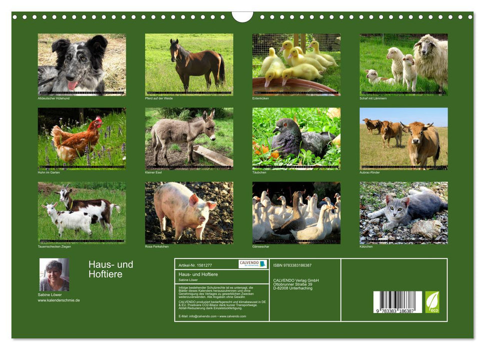 Domestic and farm animals (CALVENDO wall calendar 2024) 