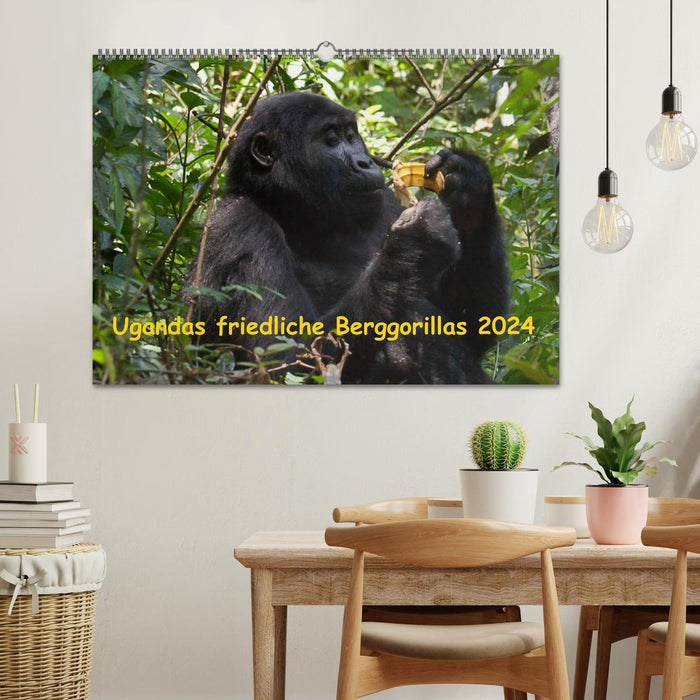 Les paisibles gorilles des montagnes de l'Ouganda (calendrier mural CALVENDO 2024) 