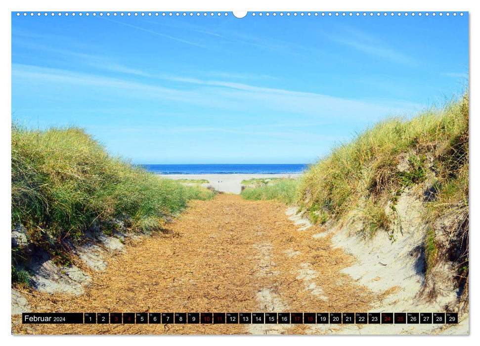 Along the North Sea coast (CALVENDO wall calendar 2024) 