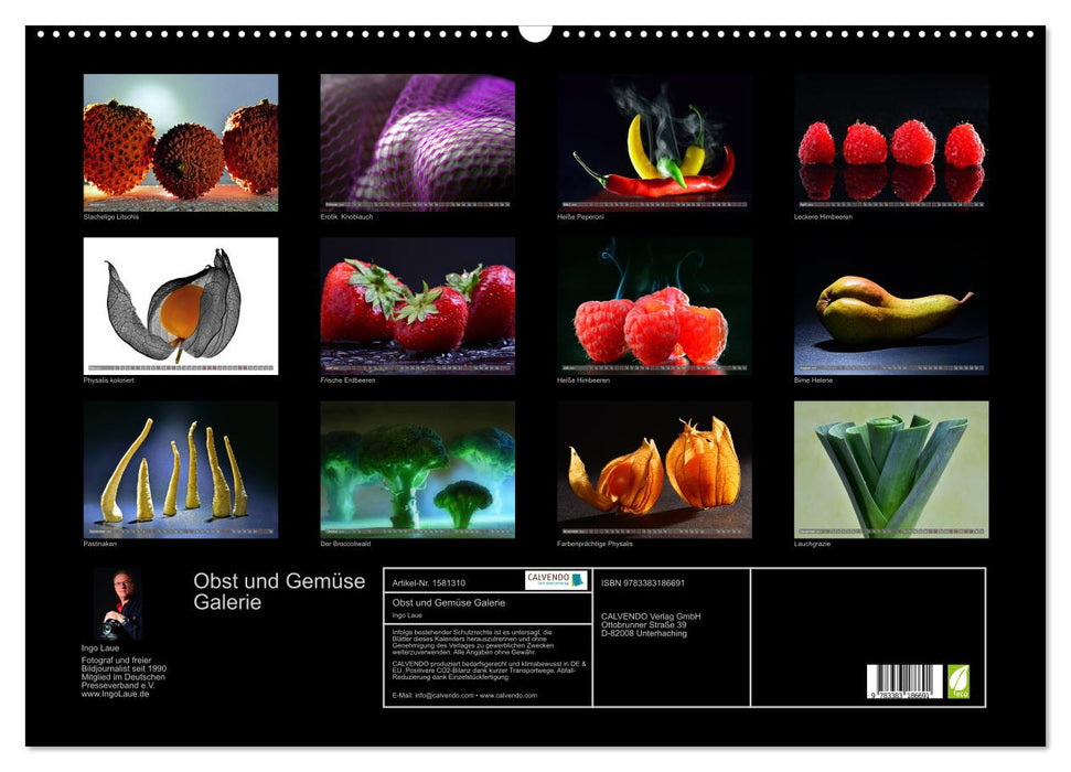 Obst und Gemüse Galerie (CALVENDO Wandkalender 2024)