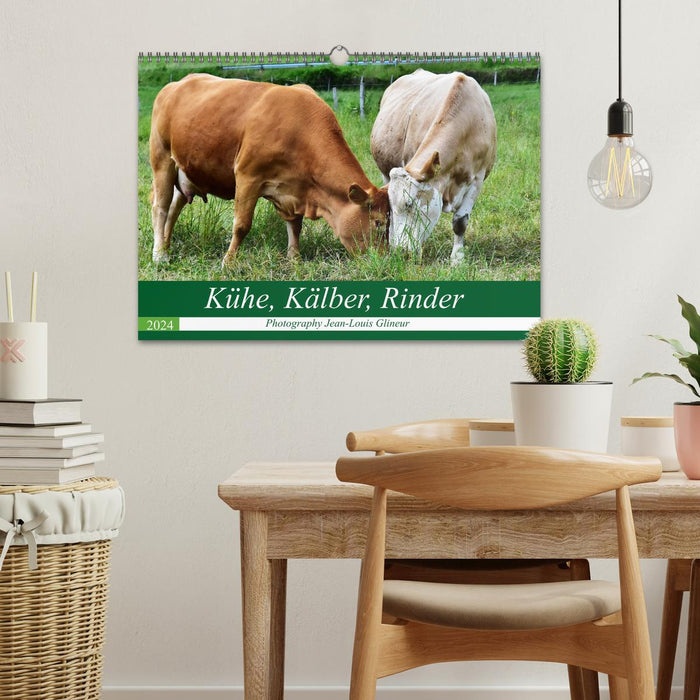 Cows, calves, cattle (CALVENDO wall calendar 2024) 