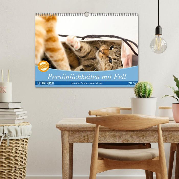 Personalities with fur - from the lives of two tabby tomcats (CALVENDO wall calendar 2024) 