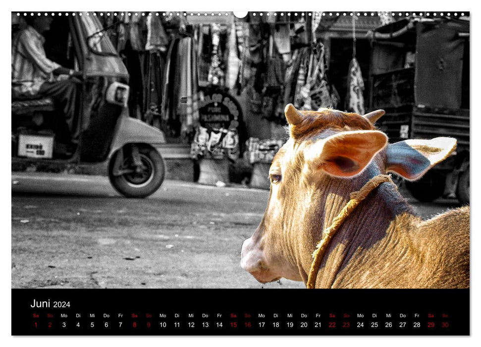Indien Colorkey (CALVENDO Wandkalender 2024)