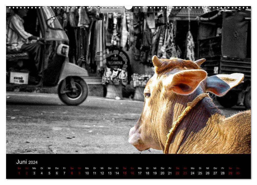 India Colorkey (CALVENDO wall calendar 2024) 