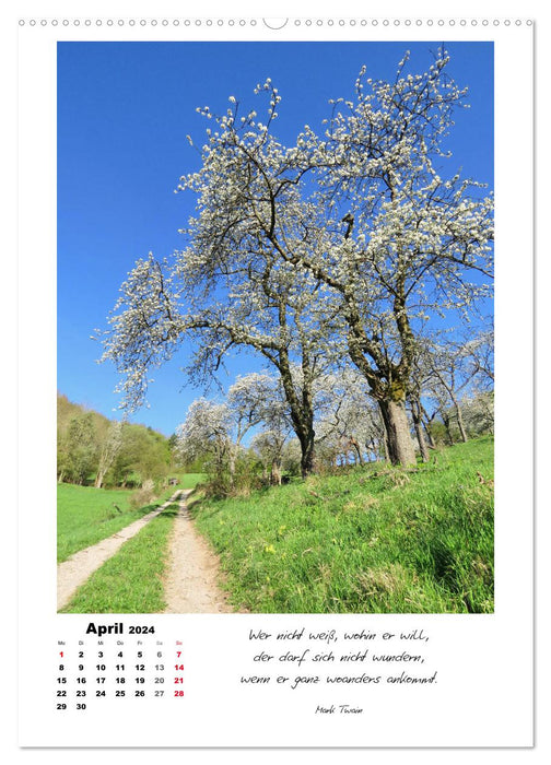 Wege durchs Jahr - Spaziergänge im schönen Nordhessen (CALVENDO Premium Wandkalender 2024)