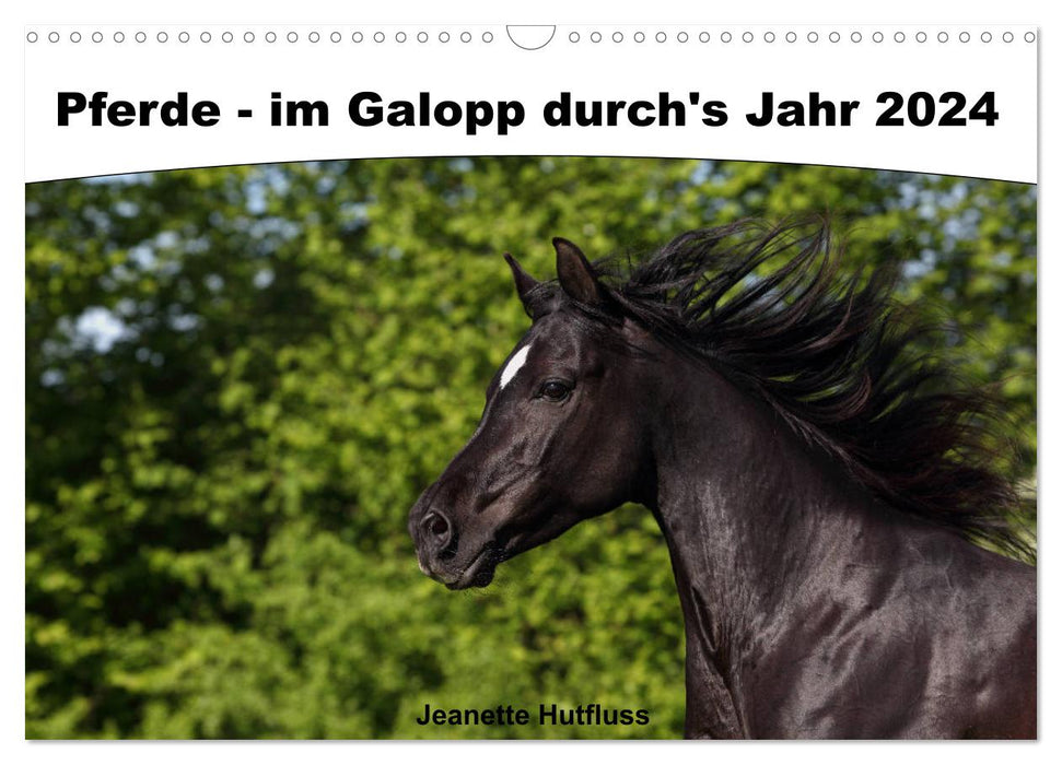 Horses - galloping through the year 2024 (CALVENDO wall calendar 2024) 