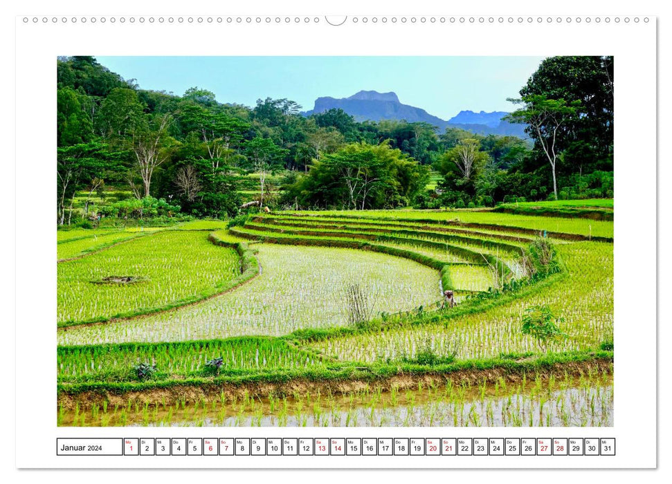 Indonesia. Bali - Java - Sulawesi (CALVENDO wall calendar 2024) 