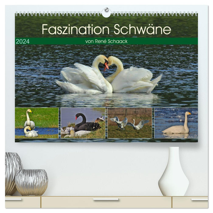 Faszination Schwäne (CALVENDO Premium Wandkalender 2024)