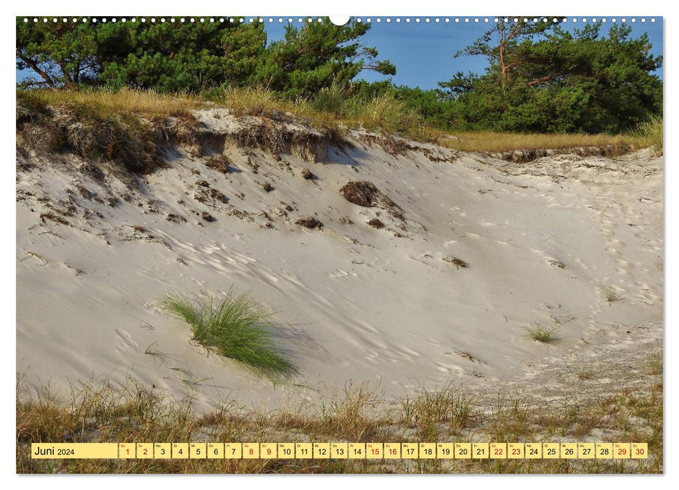 Soleil, sable et mer. Couleurs de la côte (Calendrier mural CALVENDO 2024) 