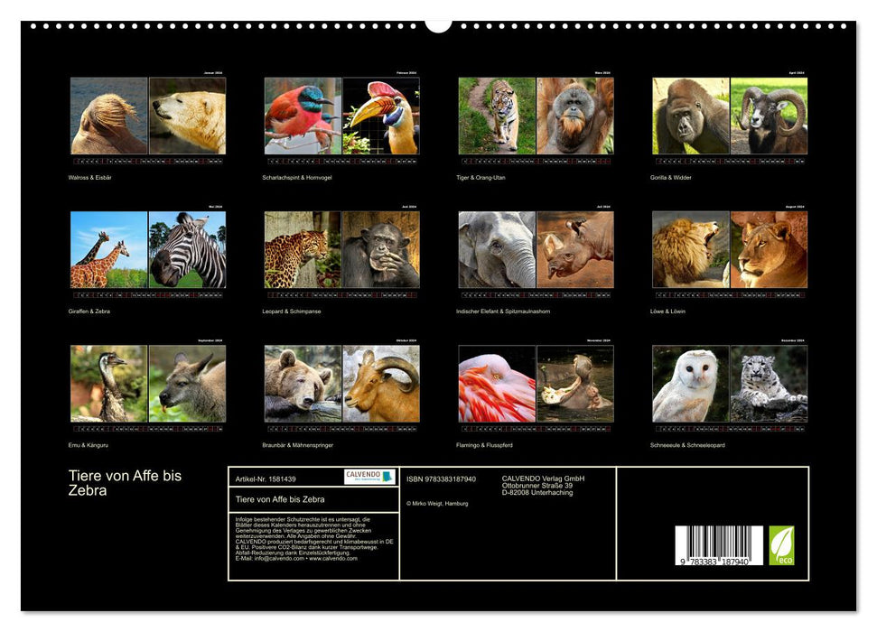Animals from monkeys to zebras 2024 (CALVENDO Premium Wall Calendar 2024) 