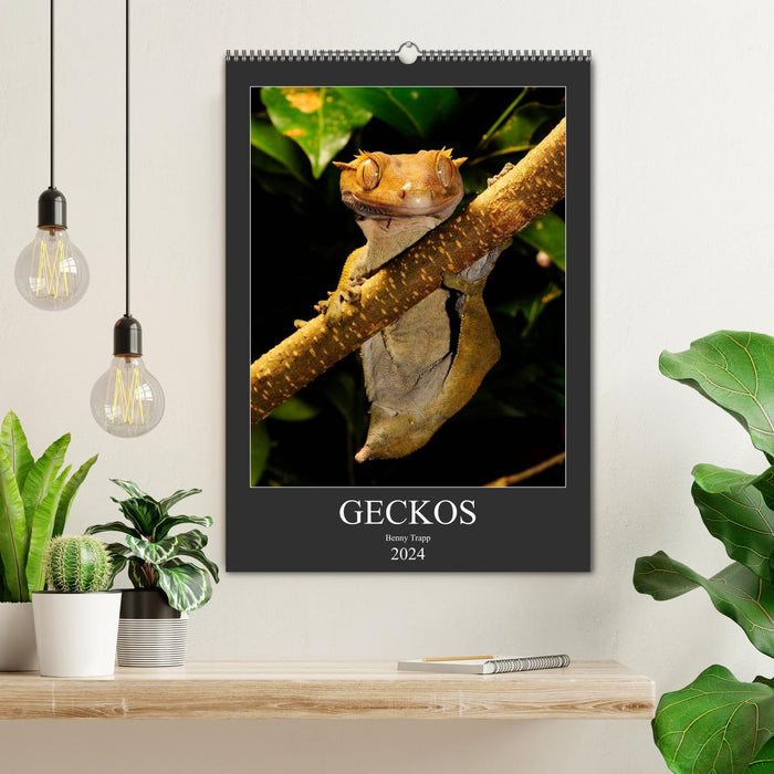 GECKOS (CALVENDO Wandkalender 2024)