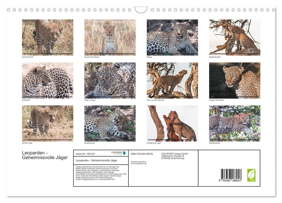 Leopards - Mysterious Hunters (CALVENDO Wall Calendar 2024) 