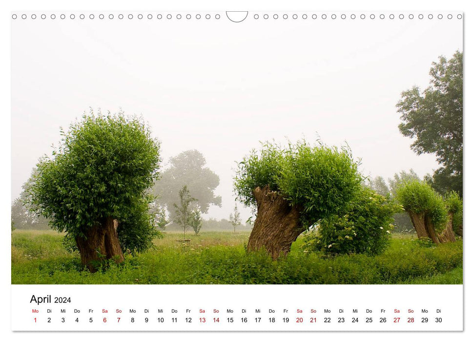 Atmospheric Lower Rhine (CALVENDO wall calendar 2024) 