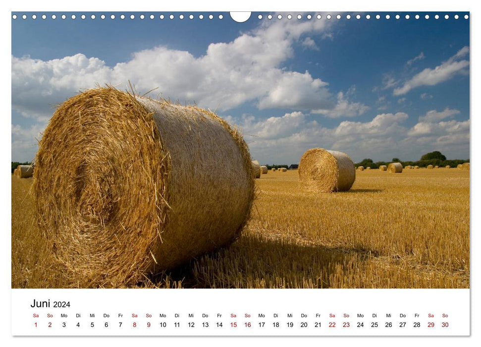 Atmospheric Lower Rhine (CALVENDO wall calendar 2024) 