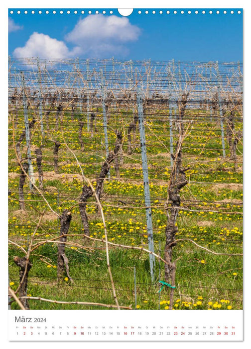 Année du vin (calendrier mural CALVENDO 2024) 