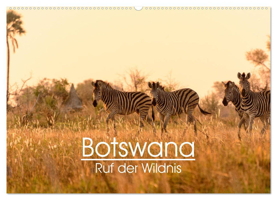 Botswana - Appel de la nature (Calendrier mural CALVENDO 2024) 