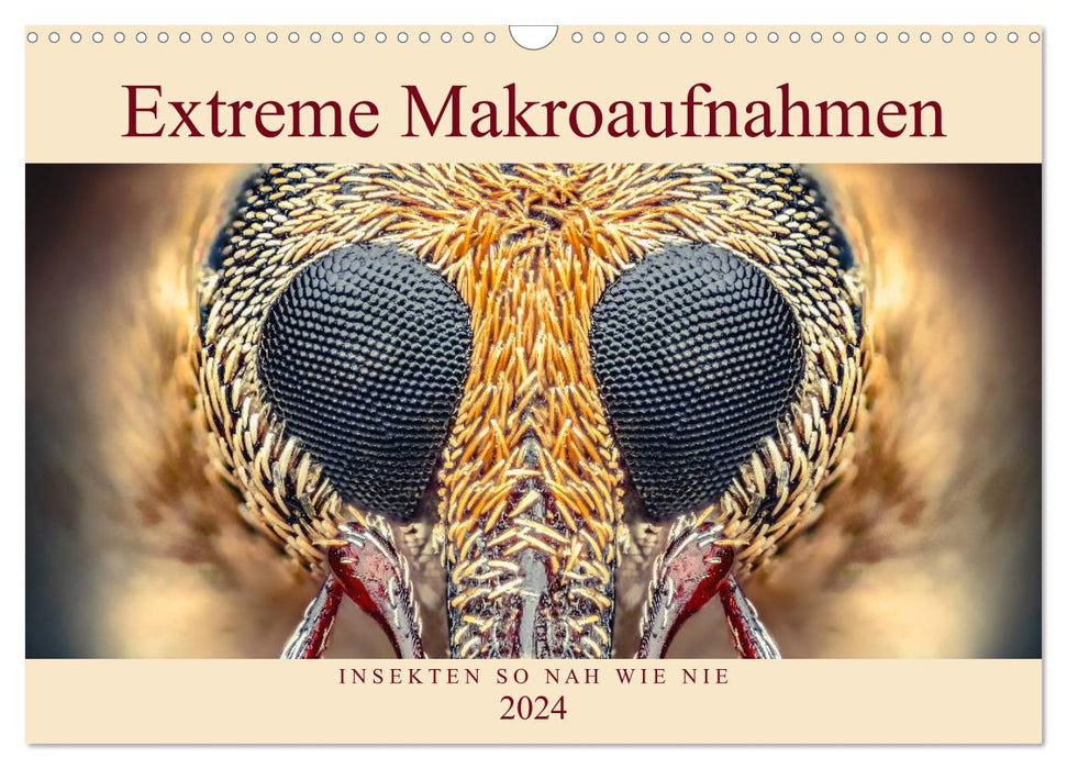 Extreme macro shots - insects closer than ever (CALVENDO wall calendar 2024) 