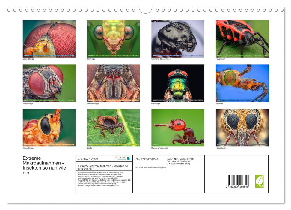 Extreme macro shots - insects closer than ever (CALVENDO wall calendar 2024) 