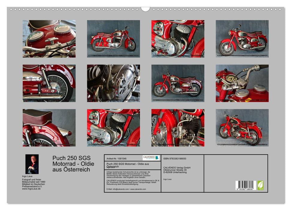 Puch 250 SGS motorcycle - oldie from Austria (CALVENDO wall calendar 2024) 
