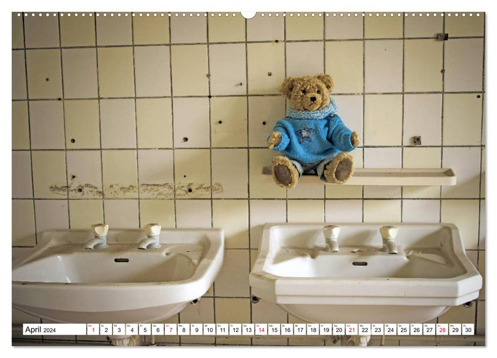 Sammy the Bear visits Lost Places (CALVENDO wall calendar 2024) 