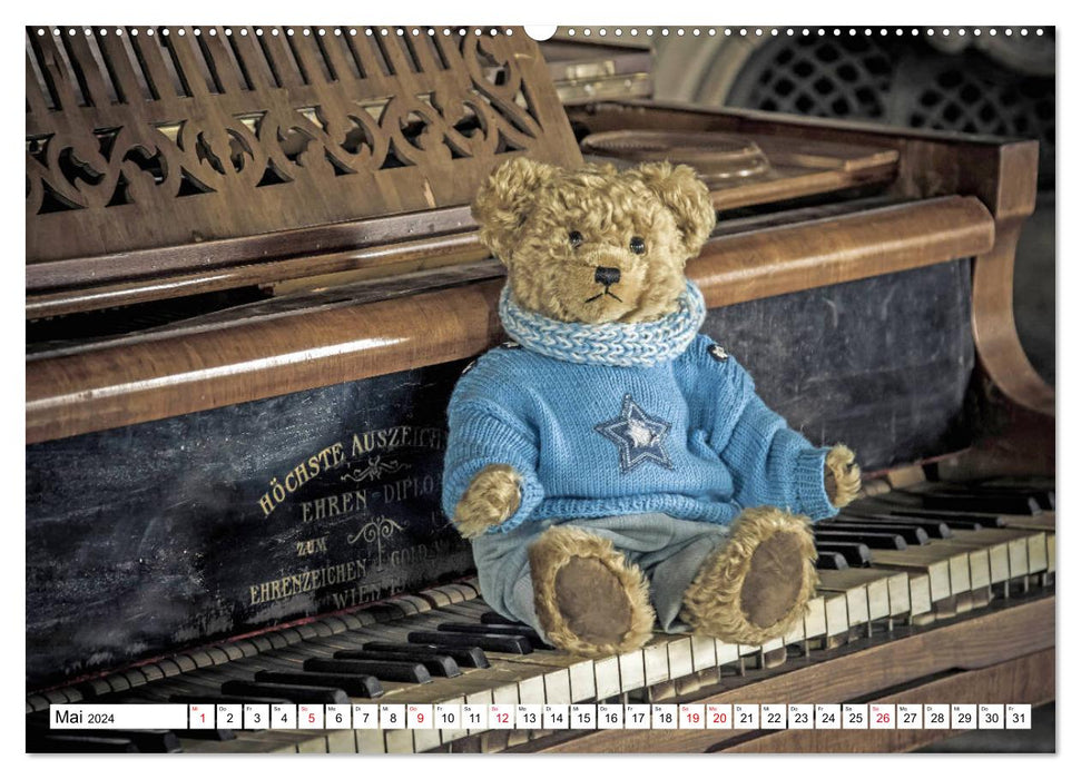 Sammy the Bear visits Lost Places (CALVENDO wall calendar 2024) 