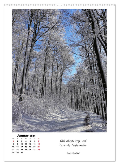 Wege durchs Jahr - Spaziergänge im schönen Nordhessen (CALVENDO Wandkalender 2024)