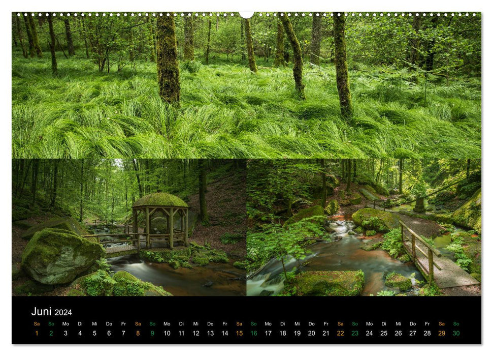 Breathtaking and emotional landscapes in the Palatinate (CALVENDO wall calendar 2024) 