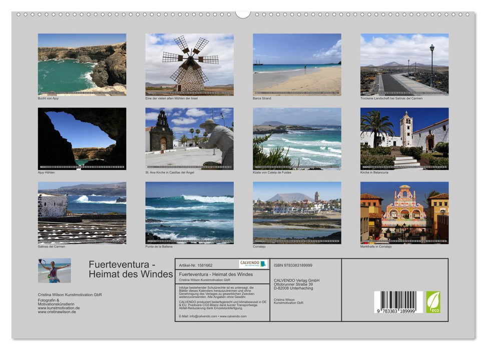 Fuerteventura - Home of the Wind (CALVENDO Premium Wall Calendar 2024) 