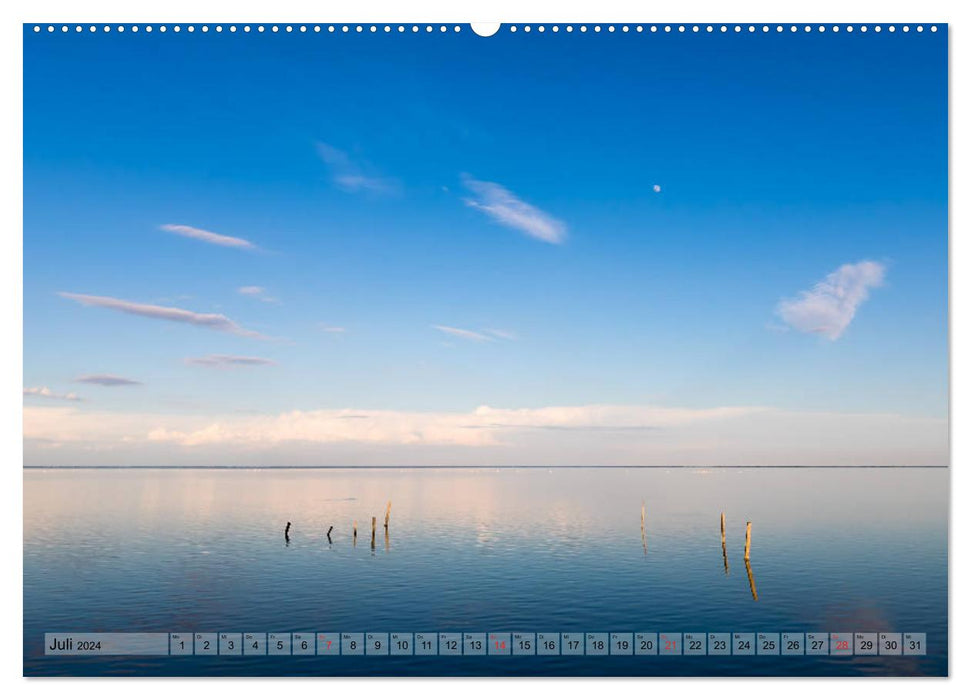 Camargue - The Wild South of France (CALVENDO Premium Wall Calendar 2024) 