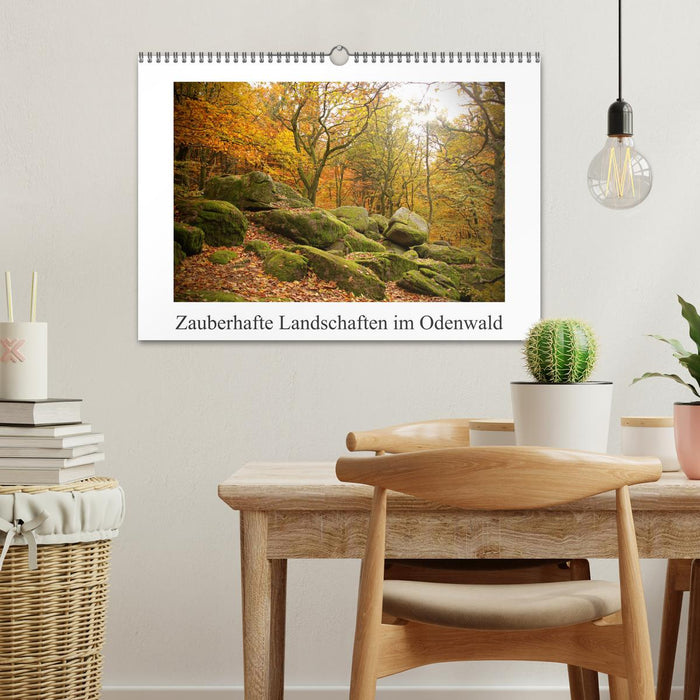 Paysages enchanteurs de l'Odenwald (calendrier mural CALVENDO 2024) 