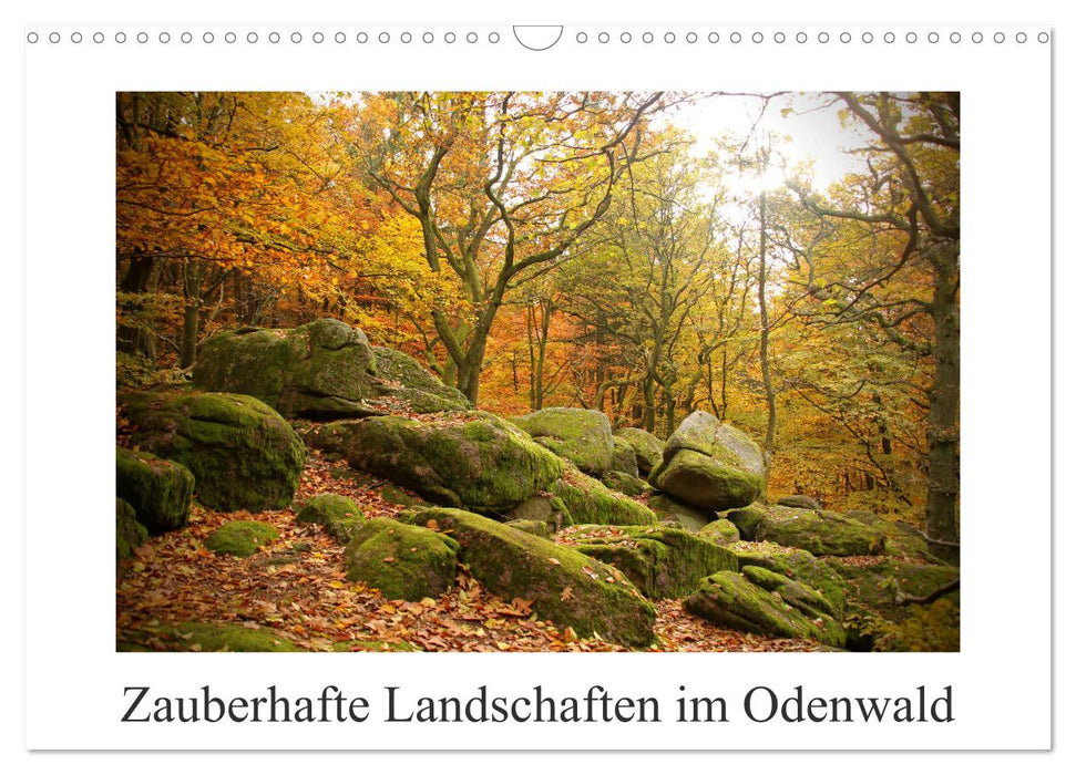 Enchanting landscapes in the Odenwald (CALVENDO wall calendar 2024) 