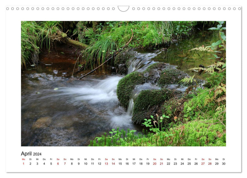 Paysages enchanteurs de l'Odenwald (calendrier mural CALVENDO 2024) 