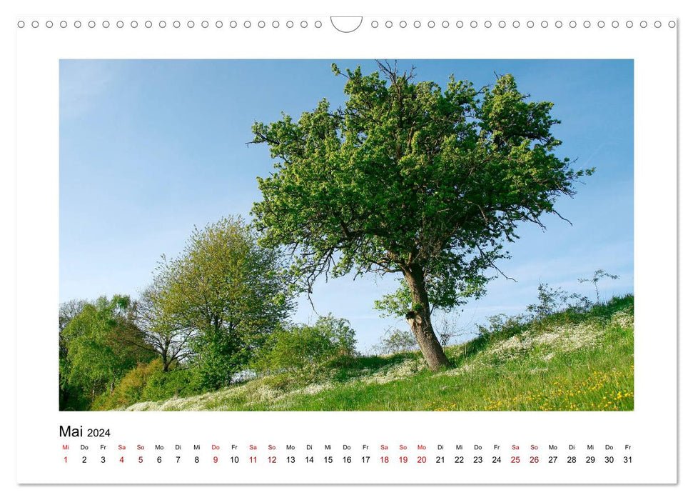 Enchanting landscapes in the Odenwald (CALVENDO wall calendar 2024) 