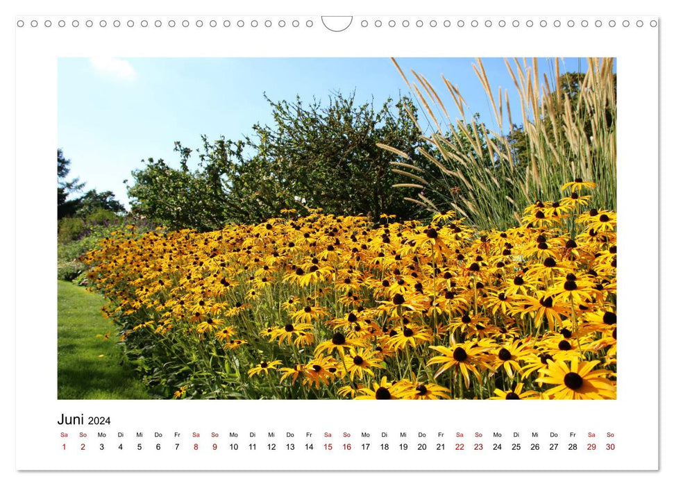 Enchanting landscapes in the Odenwald (CALVENDO wall calendar 2024) 