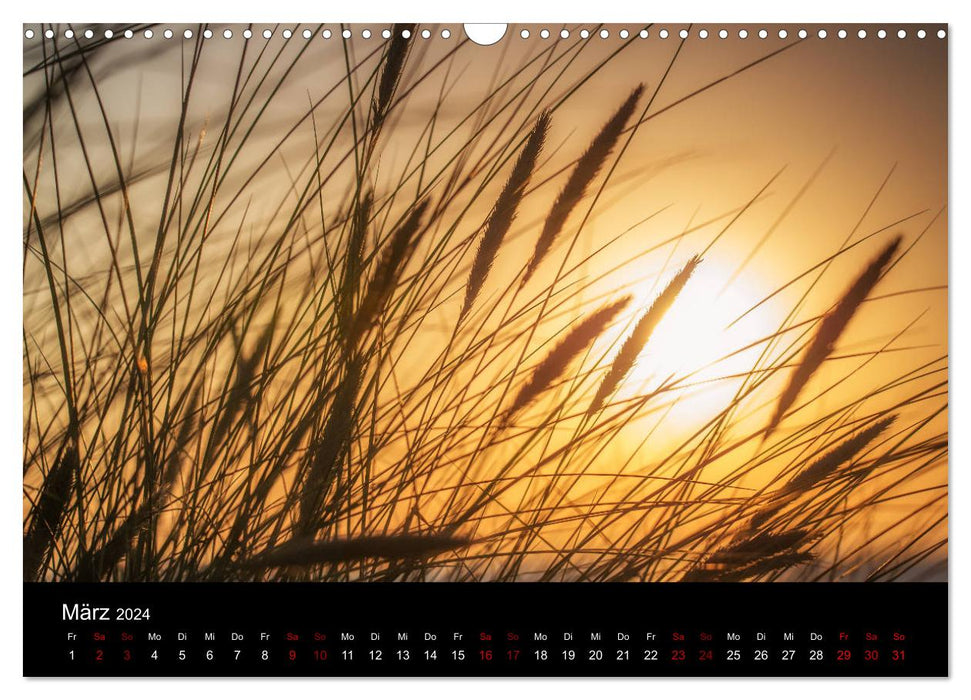 Wonderful nature in Germany (CALVENDO wall calendar 2024) 