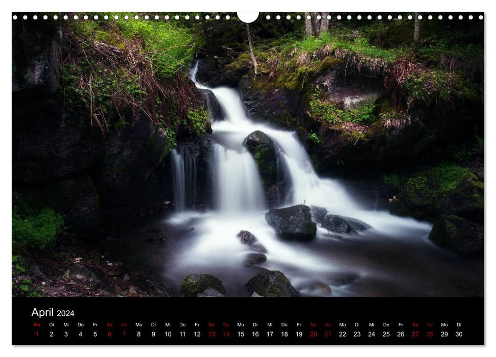 Wundersame Natur in Deutschland (CALVENDO Wandkalender 2024)