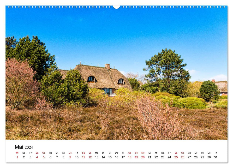 Syler views (CALVENDO wall calendar 2024) 