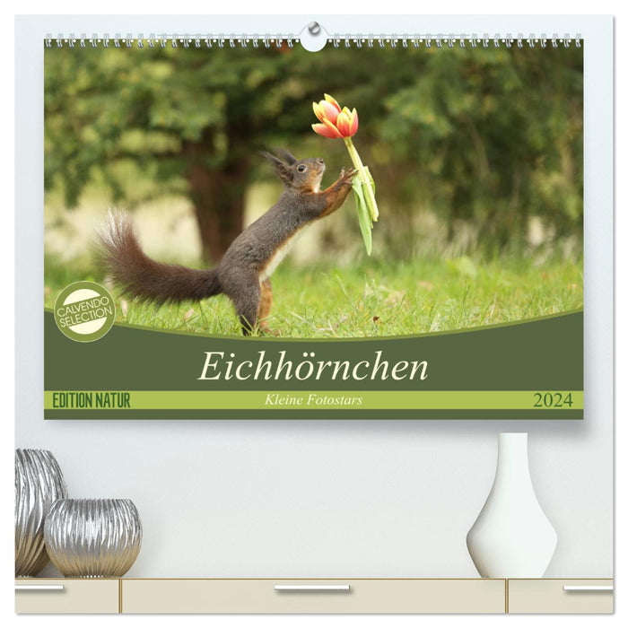 Eichhörnchen - Kleine Fotostars (CALVENDO Premium Wandkalender 2024)
