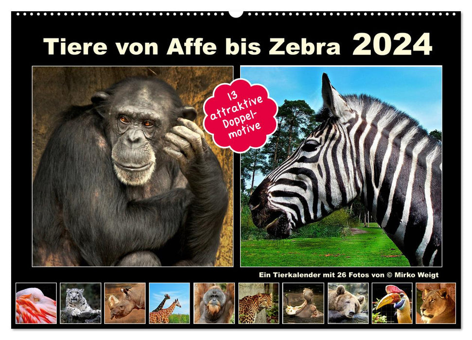 Tiere von Affe bis Zebra 2024 (CALVENDO Wandkalender 2024)