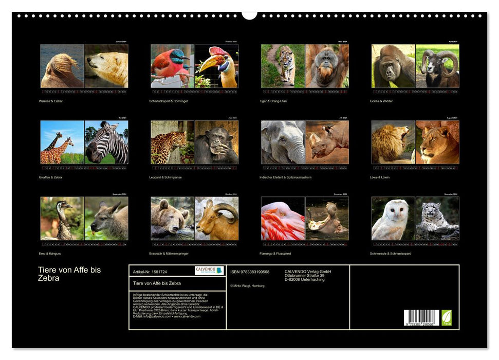 Tiere von Affe bis Zebra 2024 (CALVENDO Wandkalender 2024)