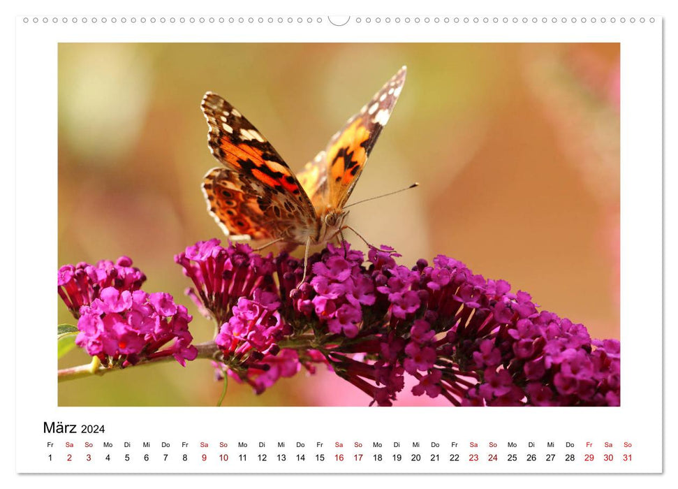 Schmetterlinge - fliegende Kunstwerke (CALVENDO Premium Wandkalender 2024)