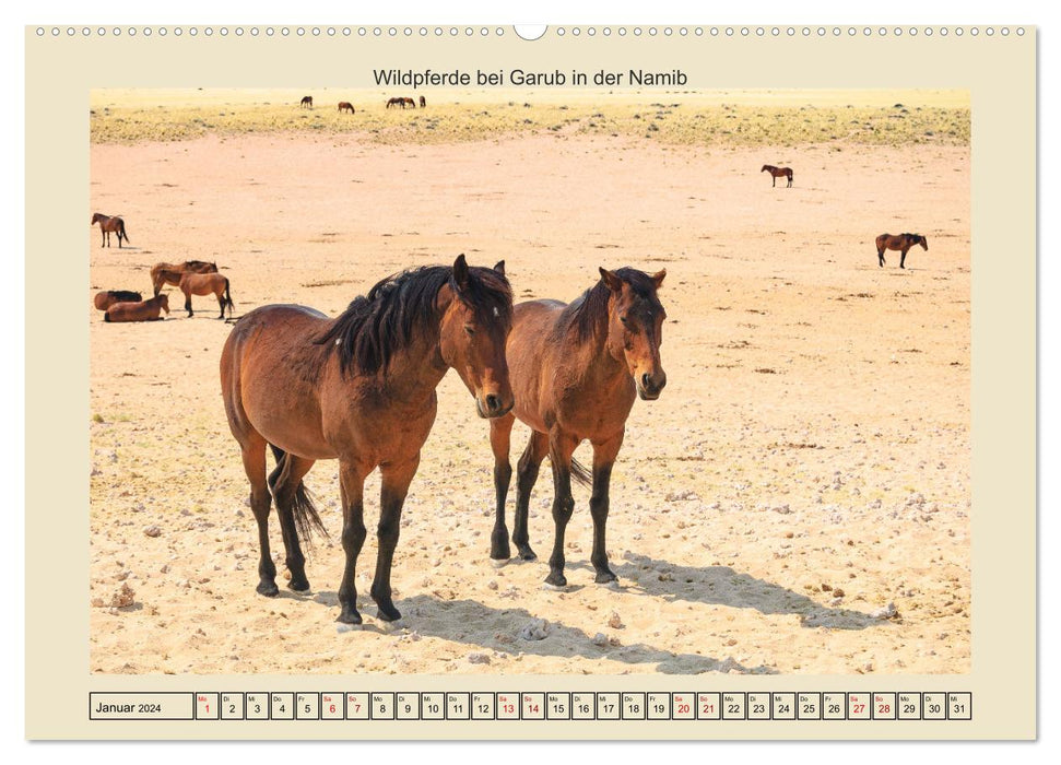 Chevaux de ce monde (Calendrier mural CALVENDO 2024) 