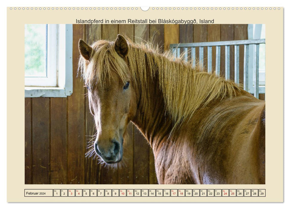 Horses of this world (CALVENDO wall calendar 2024) 