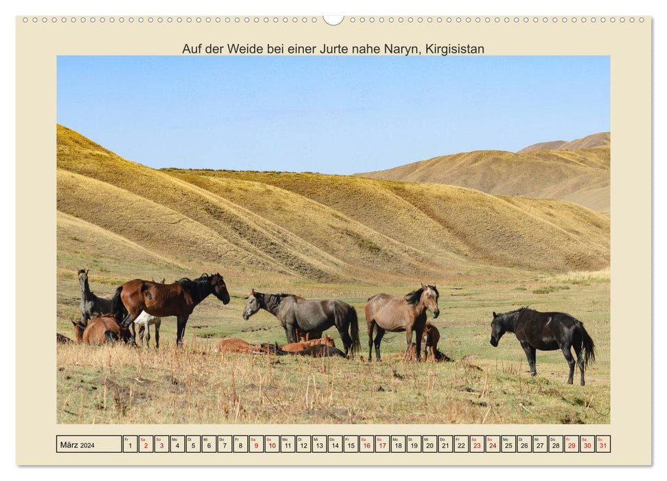 Chevaux de ce monde (Calendrier mural CALVENDO 2024) 