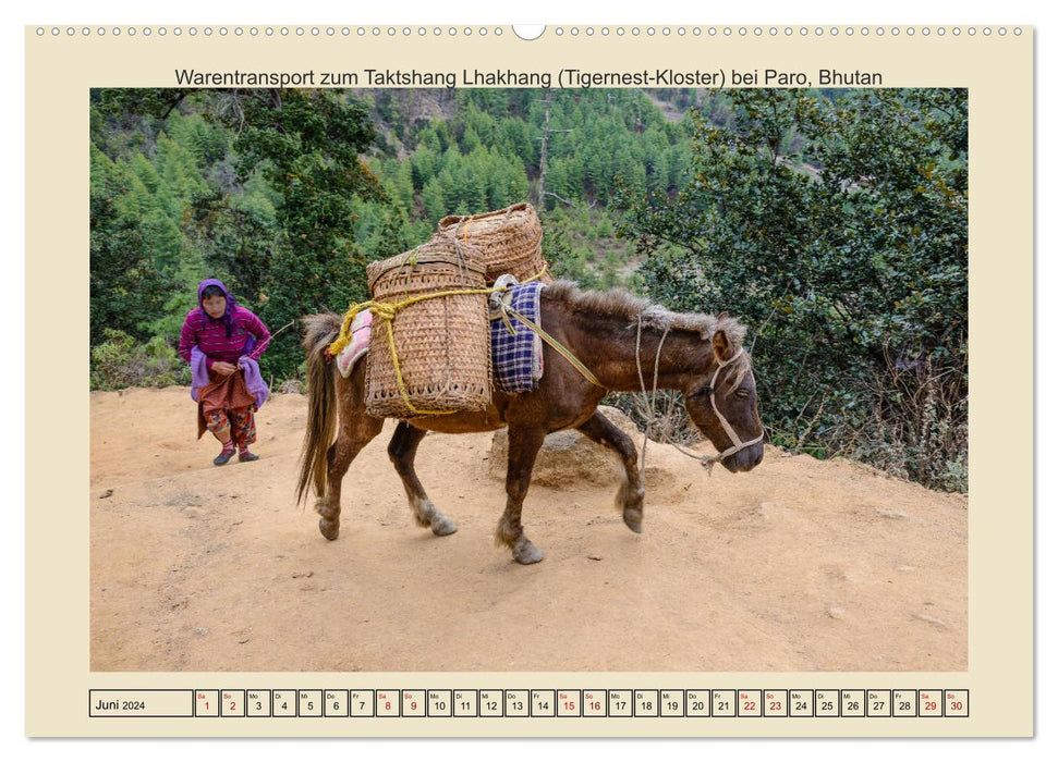 Chevaux de ce monde (Calendrier mural CALVENDO 2024) 